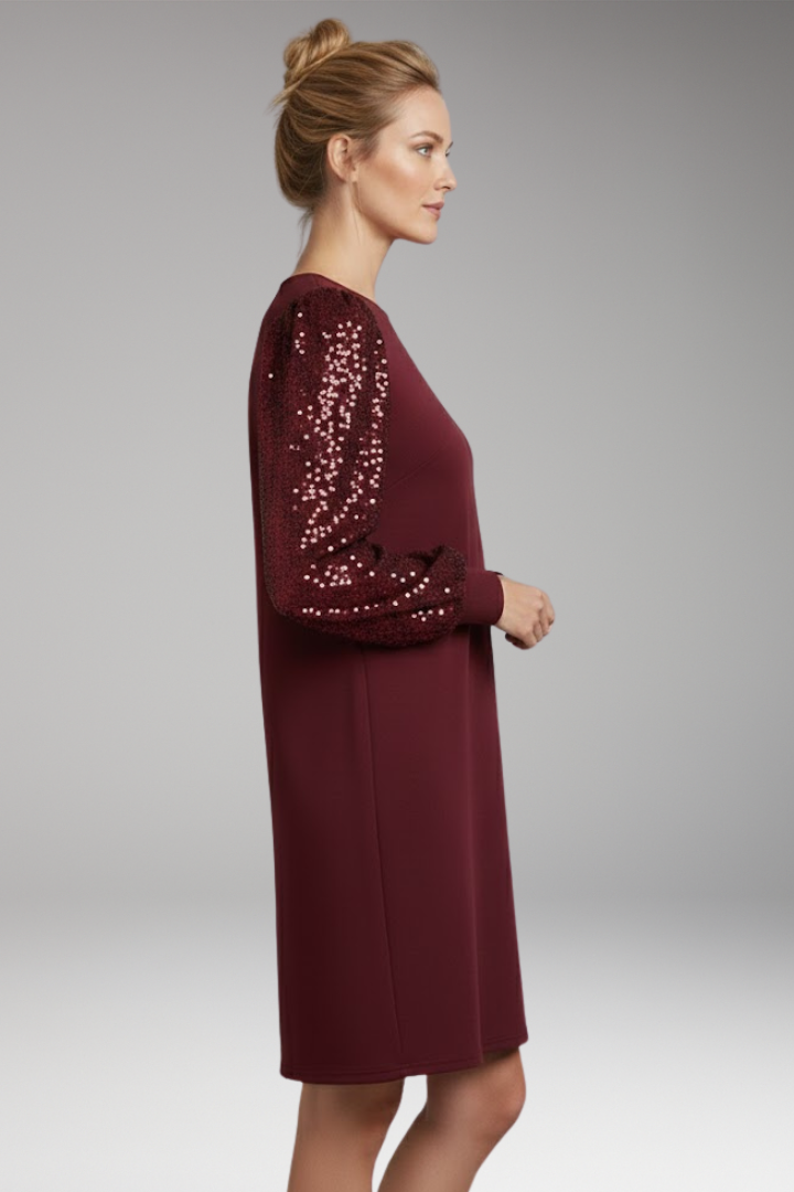 Women's Casual Dress with Glittering Sleeves and Relaxed Fit