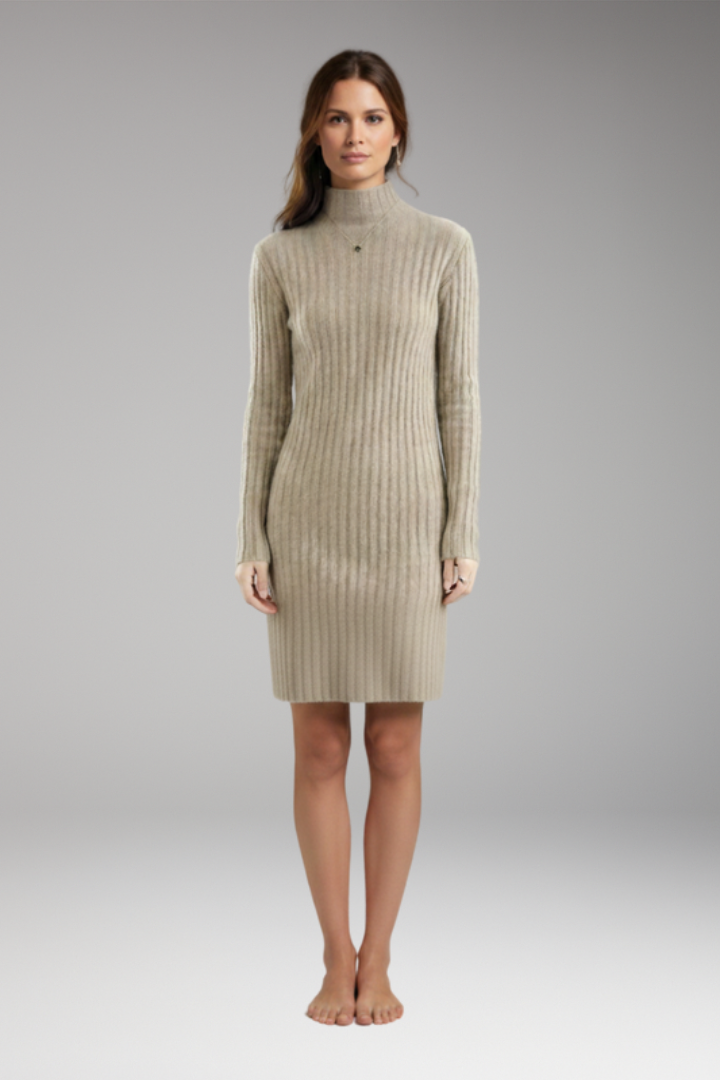 Women's Dress with Figure-Hugging Silhouette and Timeless Design