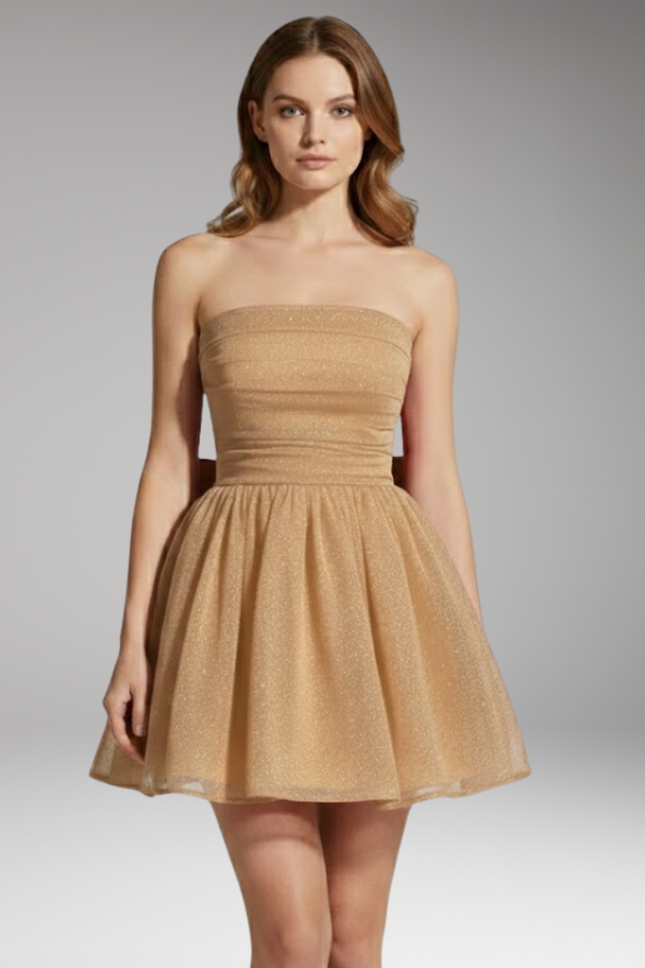 Women's Dress with Shimmering Effect and Large Bow