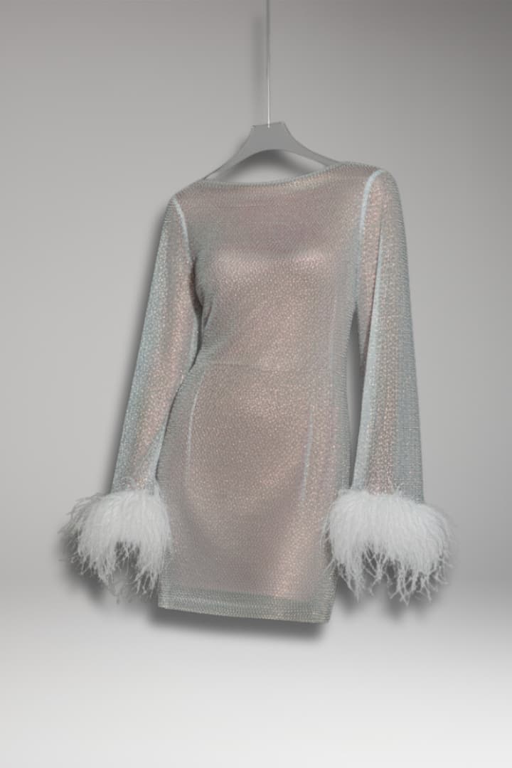 Women's Mini Dress with Sequin Surface and Feather Sleeves