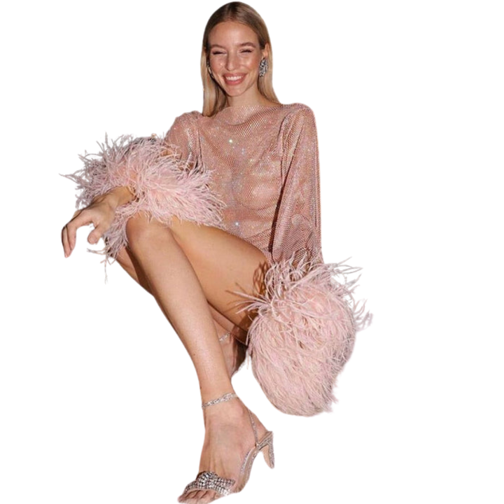 Women's Mini Dress with Sequin Surface and Feather Sleeves