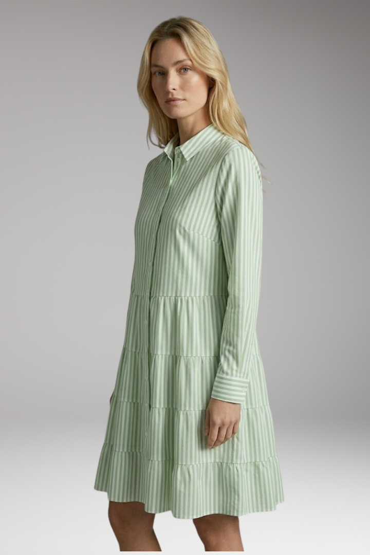 Women's Shirt Dress with Collar and Button Front