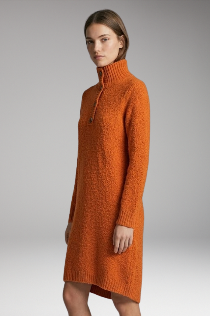 Women's Sweater Dress with High Neck and Button Detailing