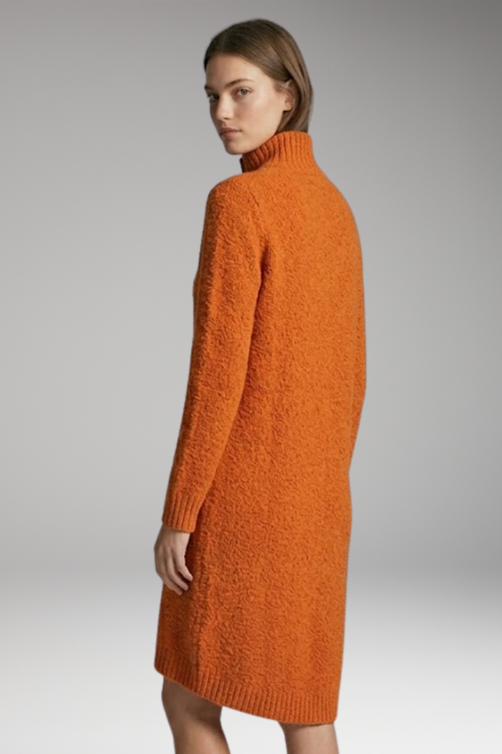 Women's Sweater Dress with High Neck and Button Detailing