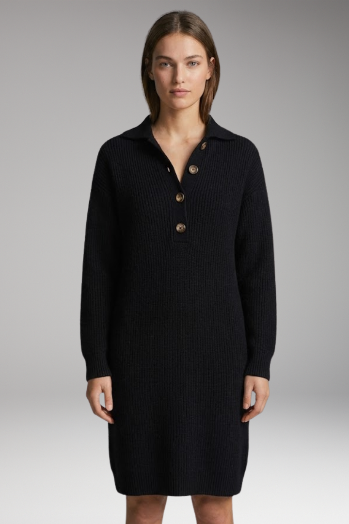 Women's Sweater Dress with High Neck and Button Detailing