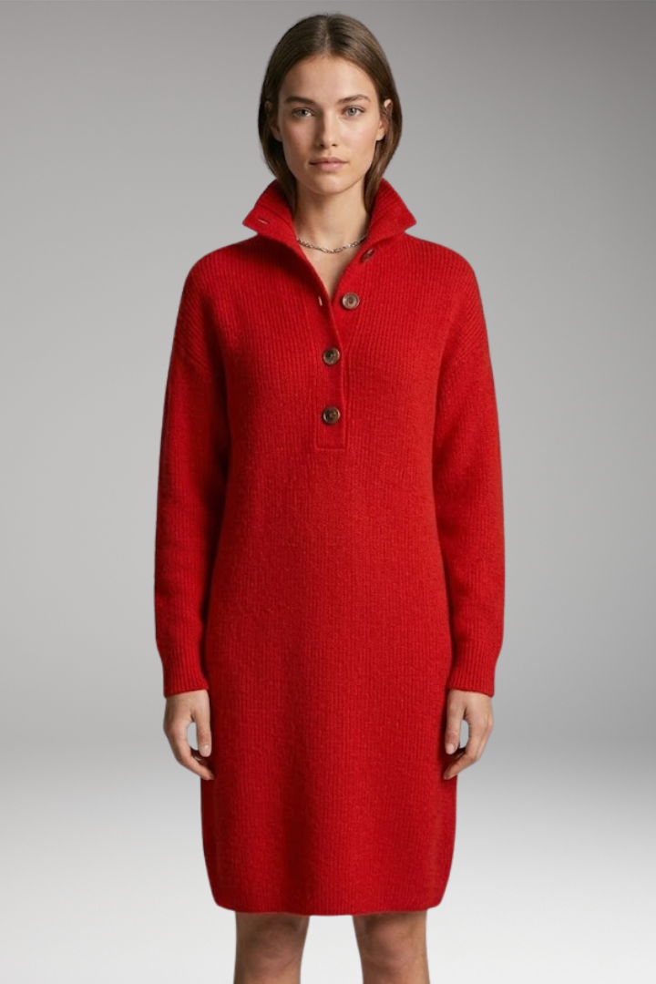 Women's Sweater Dress with High Neck and Button Detailing