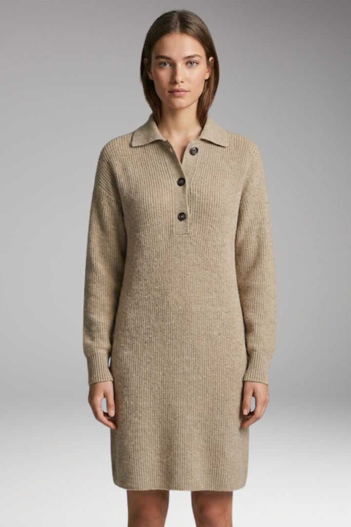Women's Sweater Dress with High Neck and Button Detailing