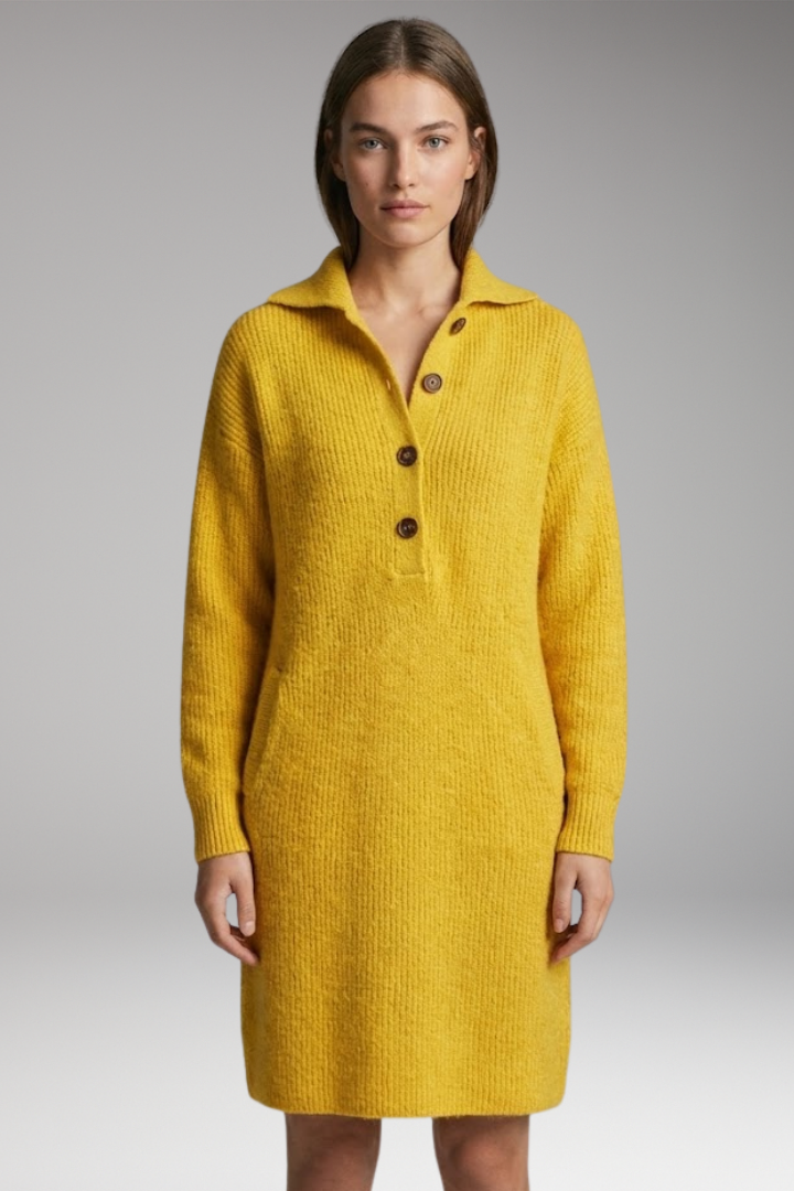 Women's Sweater Dress with High Neck and Button Detailing