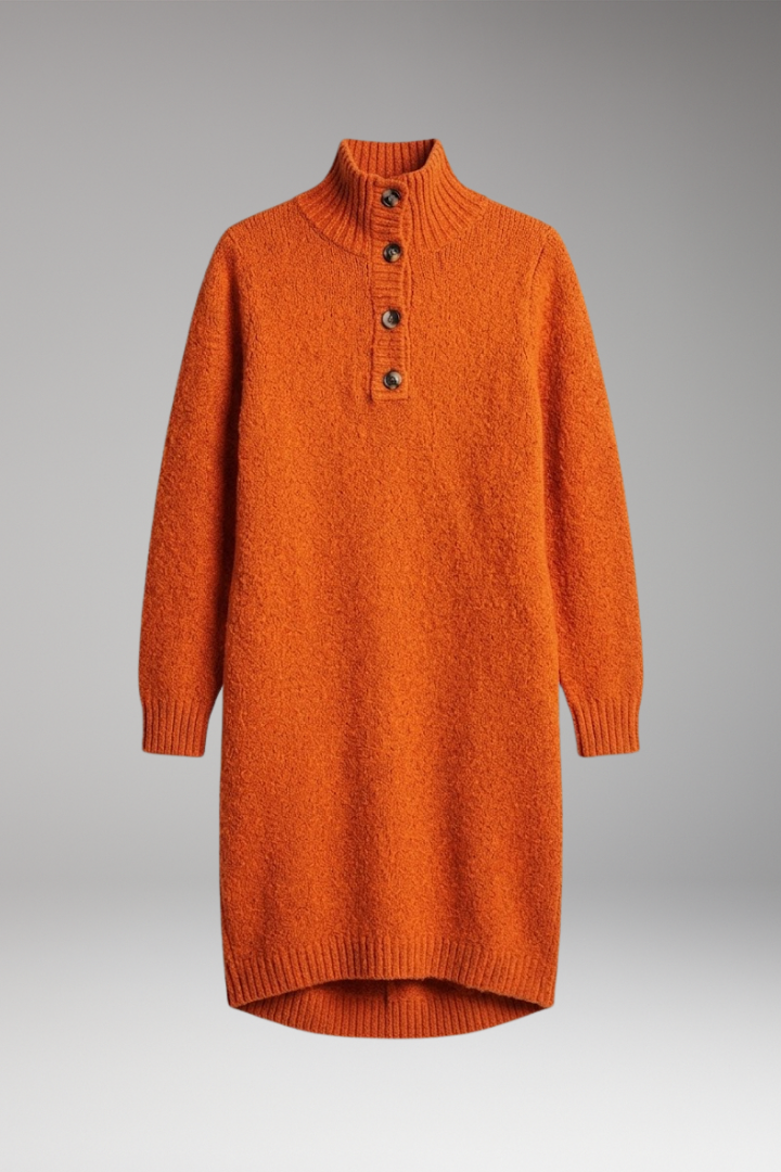 Women's Sweater Dress with High Neck and Button Detailing
